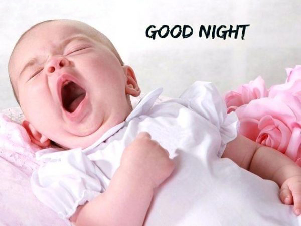Hình ảnh chúc ngủ ngon hài hước 5