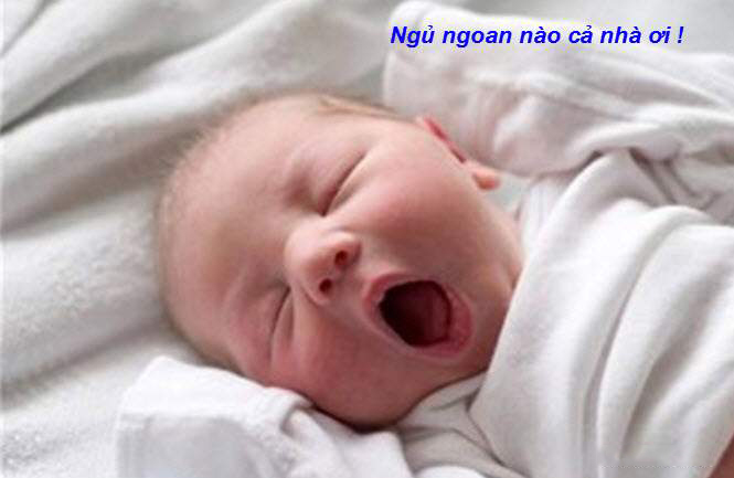 Hình ảnh chúc ngủ ngon hài hước 11
