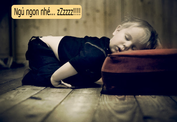 Hình ảnh chúc ngủ ngon hài hước 16