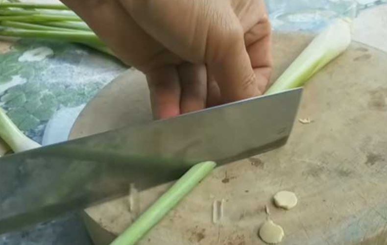 Cách trồng sả tại nhà