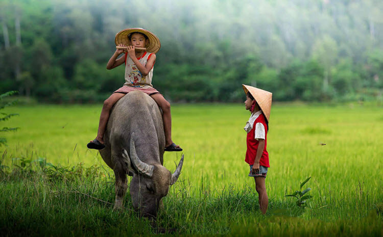 Stt cho tôi xin một vé đi tuổi thơ cực hay Stt cho tôi xin một vé đi tuổi thơ cực hay