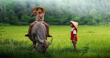 Stt tuổi thơ, những câu nói hay về tuổi thơ dữ dội