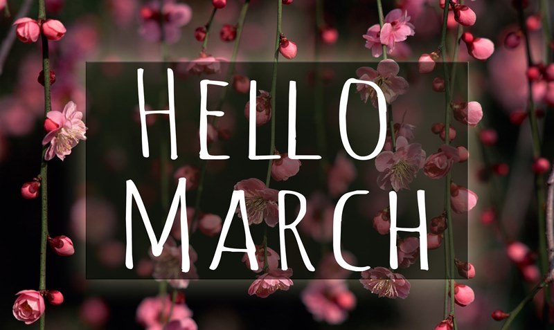 Những hình ảnh tháng 3 đẹp nhất Những hình ảnh tháng 3 đẹp nhất