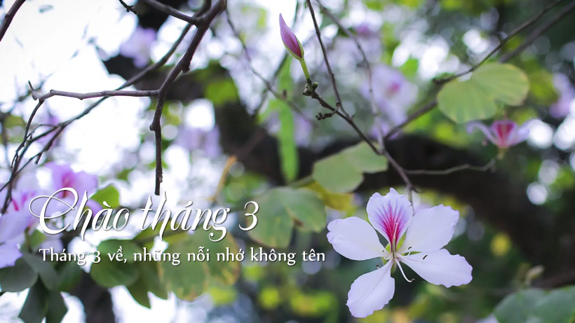 Những hình ảnh tháng 3 đẹp nhất Những hình ảnh tháng 3 đẹp nhất