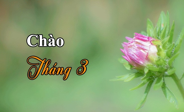 Những hình ảnh tháng 3 đẹp nhất Những hình ảnh tháng 3 đẹp nhất