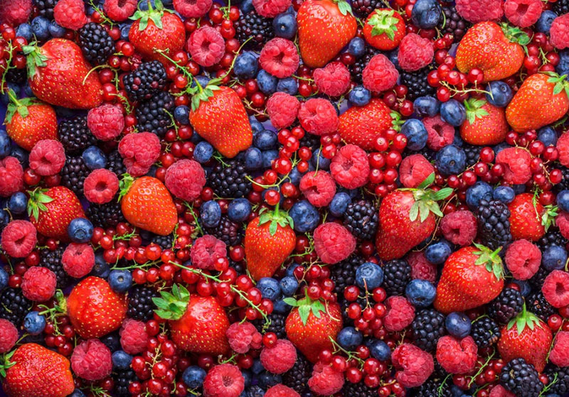 Loại quả họ dâu