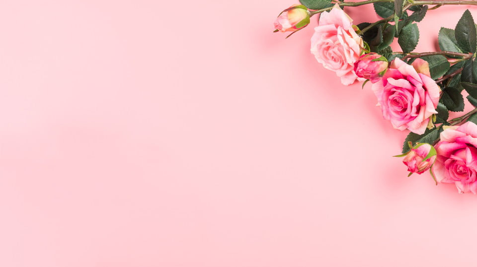 Background đẹp 8/3