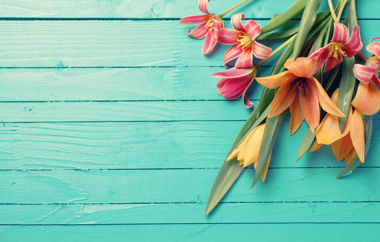 Background chúc mừng ngày 8/3