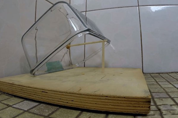 Cách bẫy chuột bằng bát thủy tinh