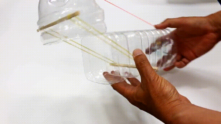 Cách làm bẫy chuột bằng chai nước