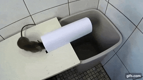 Cách làm bẫy chuột bằng giấy