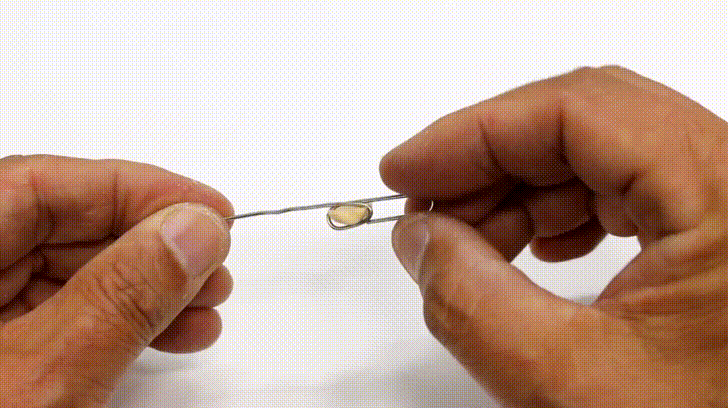 Cách làm bẫy chuột bằng chai nước