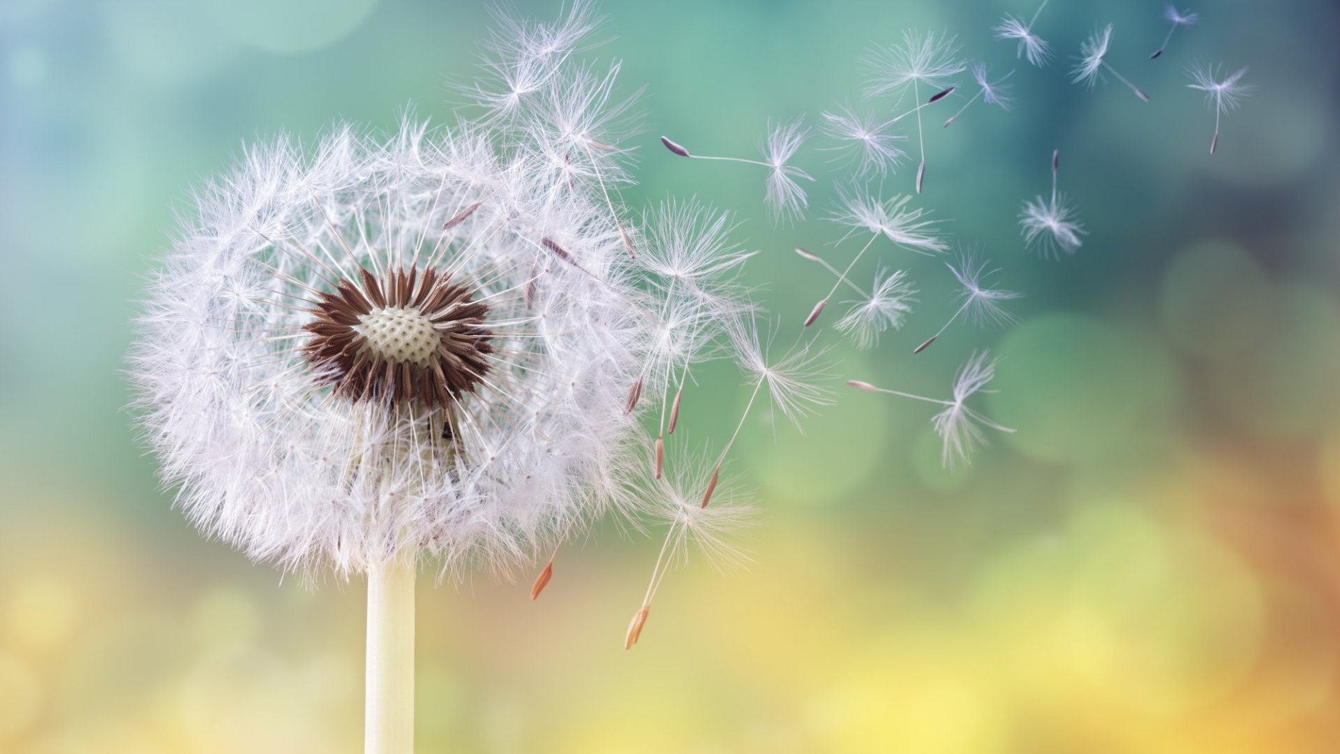 101 Chân lý cuộc sống hay, ý nghĩa, ngắn gọn 101 Chân lý cuộc sống hay, ý nghĩa, ngắn gọn