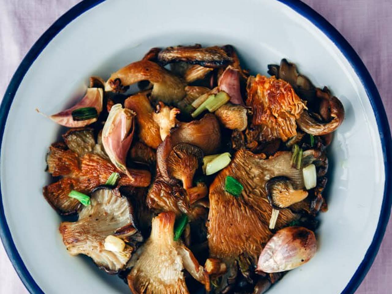 Nấm bào ngư có tác dụng gì?