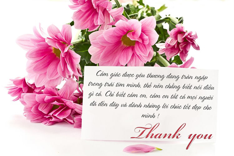 Hình ảnh lời cảm ơn chân thành 1 Hình ảnh lời cảm ơn chân thành 1