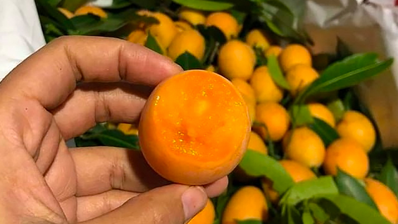 Quả thanh trà có vị gì? Quả thanh trà có vị gì?