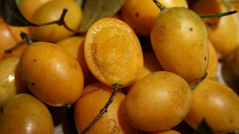 Quả thanh trà có tốt cho bà bầu? Quả thanh trà có tốt cho bà bầu?