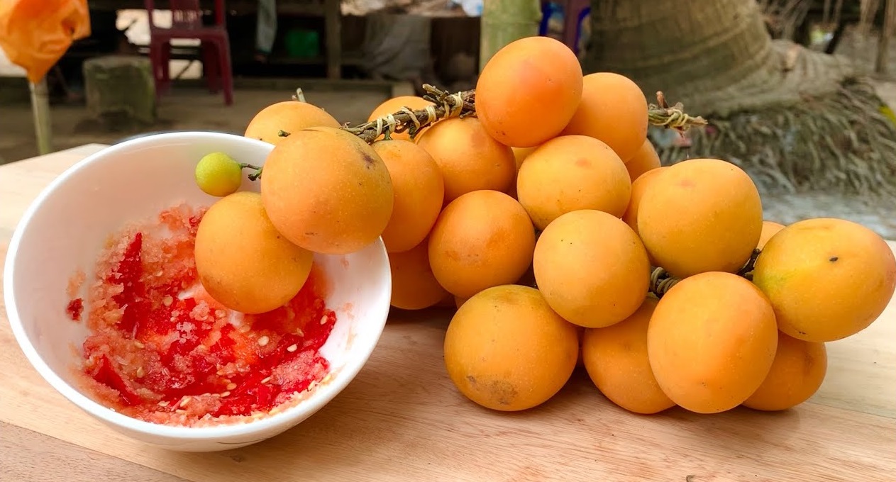 Trái thanh trà ăn như thế nào? Trái thanh trà ăn như thế nào?