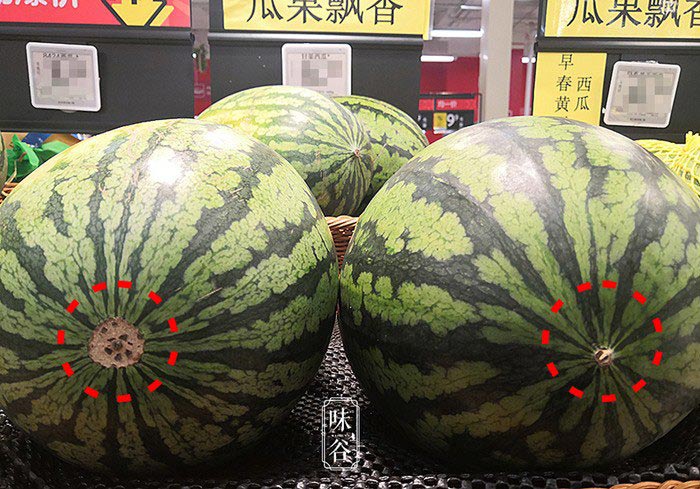 Dựa vào đỉnh dưa