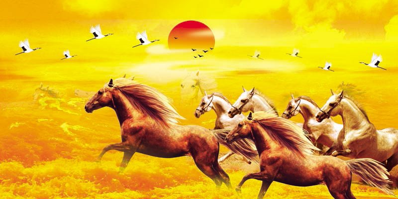 Hình ảnh mã đáo thành công 7