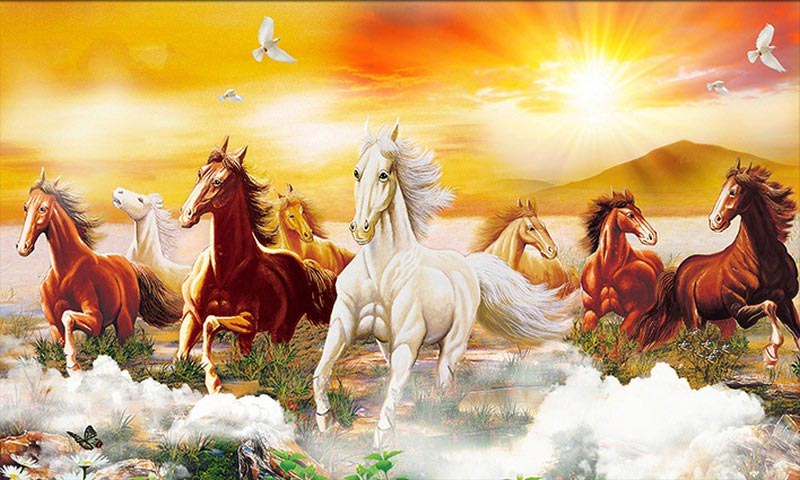 Hình ảnh mã đáo thành công 2