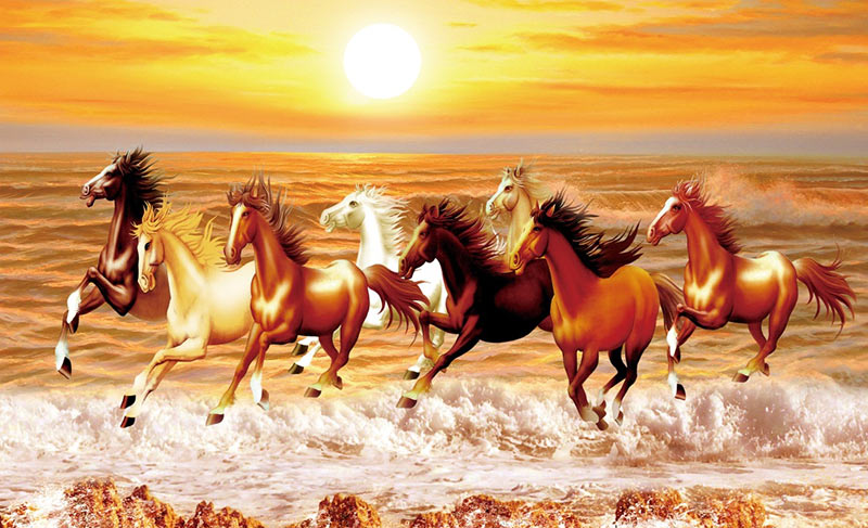 Hình ảnh mã đáo thành công 5