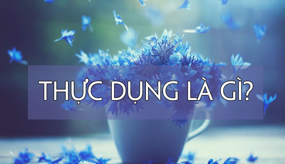 Thực dụng là gì?