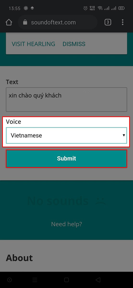 Ở mục Voice, bạn chuyển thành Vietnmaese Ở mục Voice, bạn chuyển thành Vietnmaese
