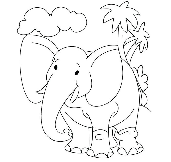 Tranh tô màu con vật cho bé Tranh tô màu con vật cho bé