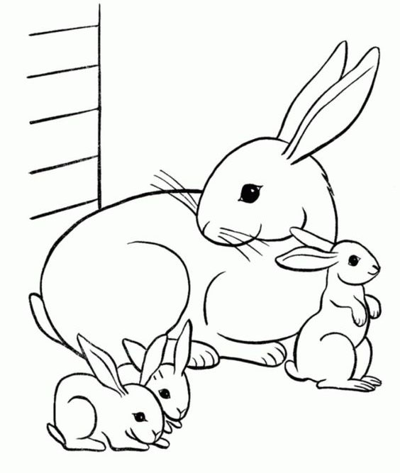 Tranh tô màu con vật cho bé Tranh tô màu con vật cho bé