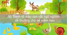 50 Tranh tô màu con vật ngộ nghĩnh, dễ thương cho bé mầm non