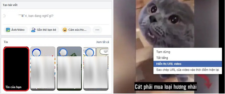 ruy cập Facebook và tạo story với nội dung tùy ý ruy cập Facebook và tạo story với nội dung tùy ý