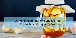 Uống tỏi ngâm mật ong vào lúc nào để phát huy hiệu quả tối đa?