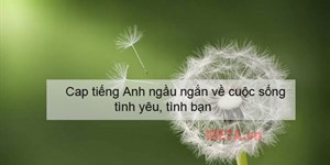 Cap tiếng Anh ngầu ngắn về cuộc sống, tình yêu, tình bạn