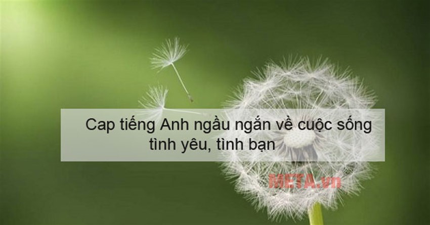 Cap tiếng Anh ngầu ngắn về cuộc sống, tình yêu, tình bạn