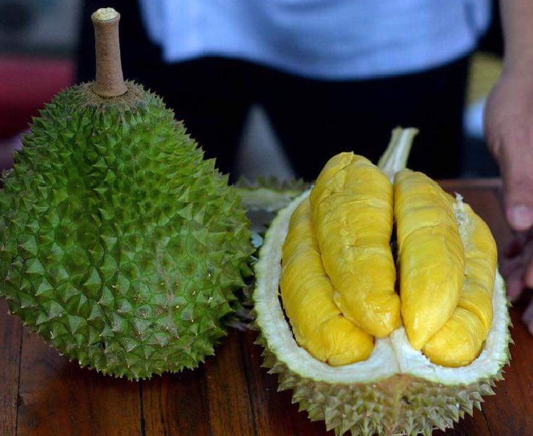 Sầu riêng Musang King
