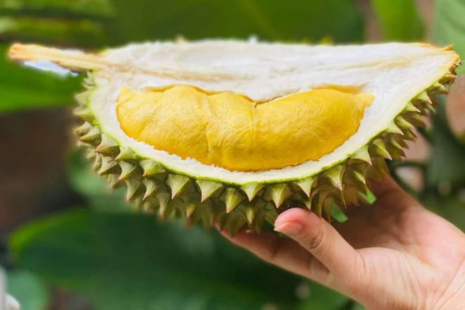 Sầu riêng Cái Mơn