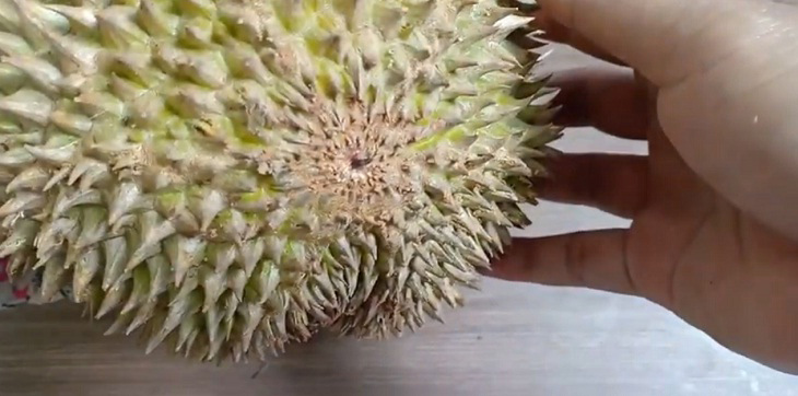 Xác định đường kẻ múi sầu riêng