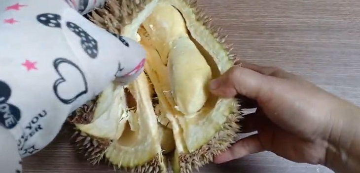 Tách múi sầu riêng