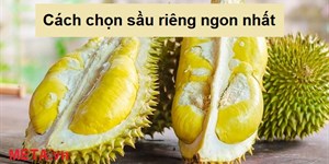 5 Cách chọn sầu riêng ngon nhất đảm bảo nhiều múi, chín đều, hạt nhỏ