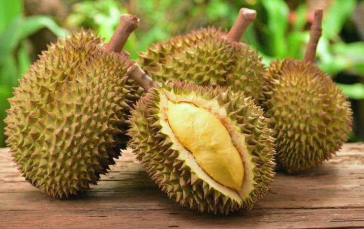 5 Cách chọn sầu riêng ngon nhất đảm bảo nhiều múi, chín đều, hạt nhỏ