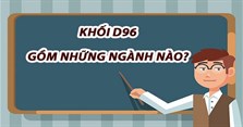 D96 gồm những môn nào, là tổ hợp môn gì? Khối D98 gồm những ngành nào?