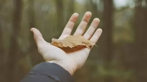 Stt mệt mỏi vì tiên