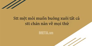 Stt mệt mỏi muốn buông xuôi tất cả, stt chán nản về mọi thứ