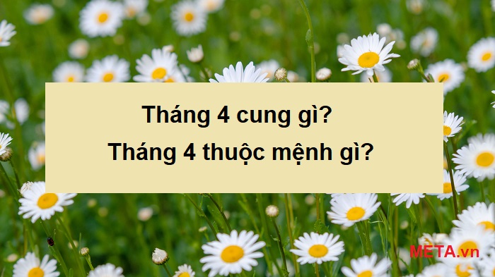 Tháng 4 cung gì? Tháng 4 cung hoàng đạo gì? Tháng 4 cung gì? Tháng 4 cung hoàng đạo gì?