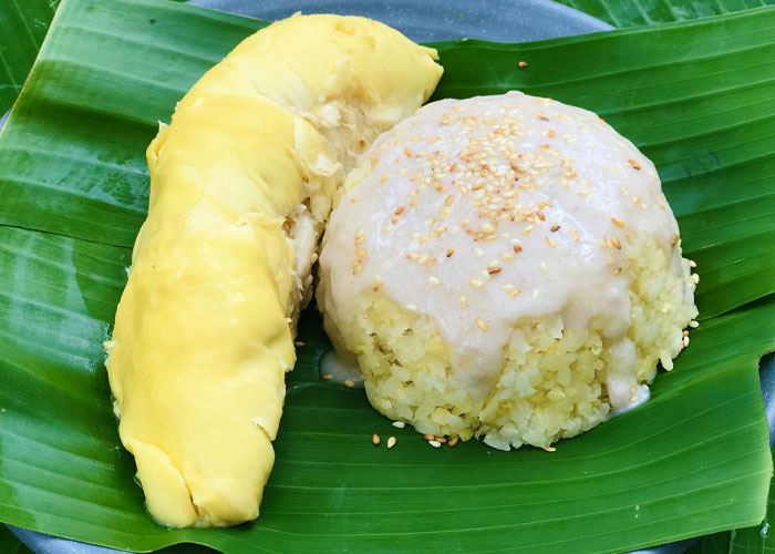 Cách nấu xôi sầu riêng cốt dừa Cách nấu xôi sầu riêng cốt dừa