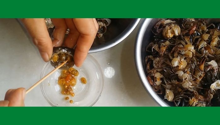 Khều gạch cua Khều gạch cua