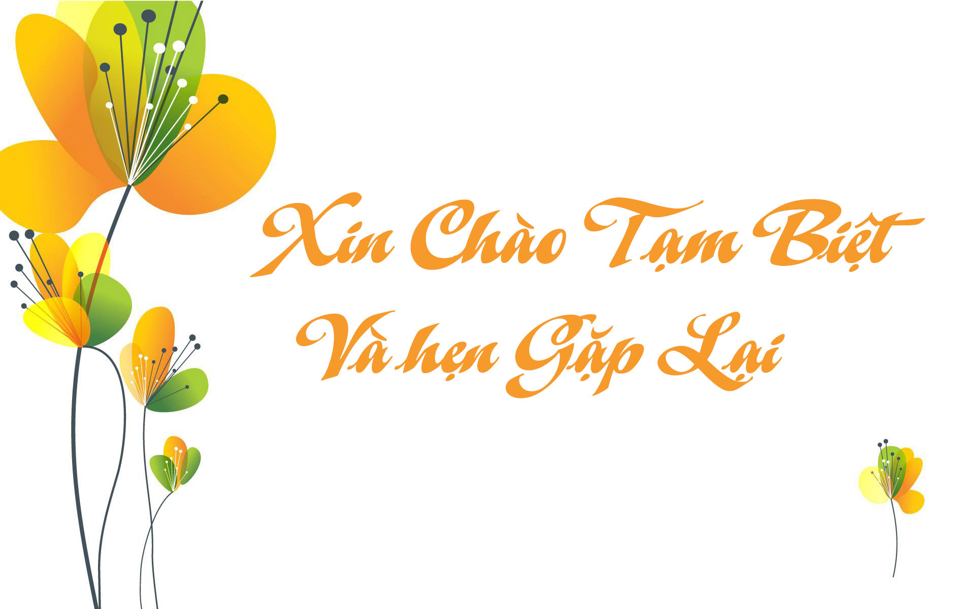 Slide cảm ơn kết thúc đẹp