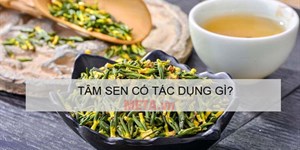 Tâm sen có tác dụng gì? Cách sử dụng tâm sen tươi, tâm sen khô