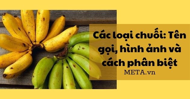 Các loại chuối Các loại chuối